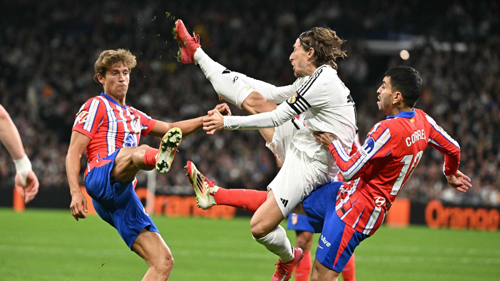 游泳的路径 游泳的路径