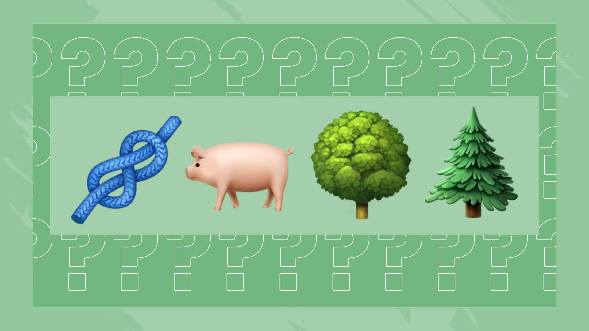 不仅是竞技 不仅是竞技