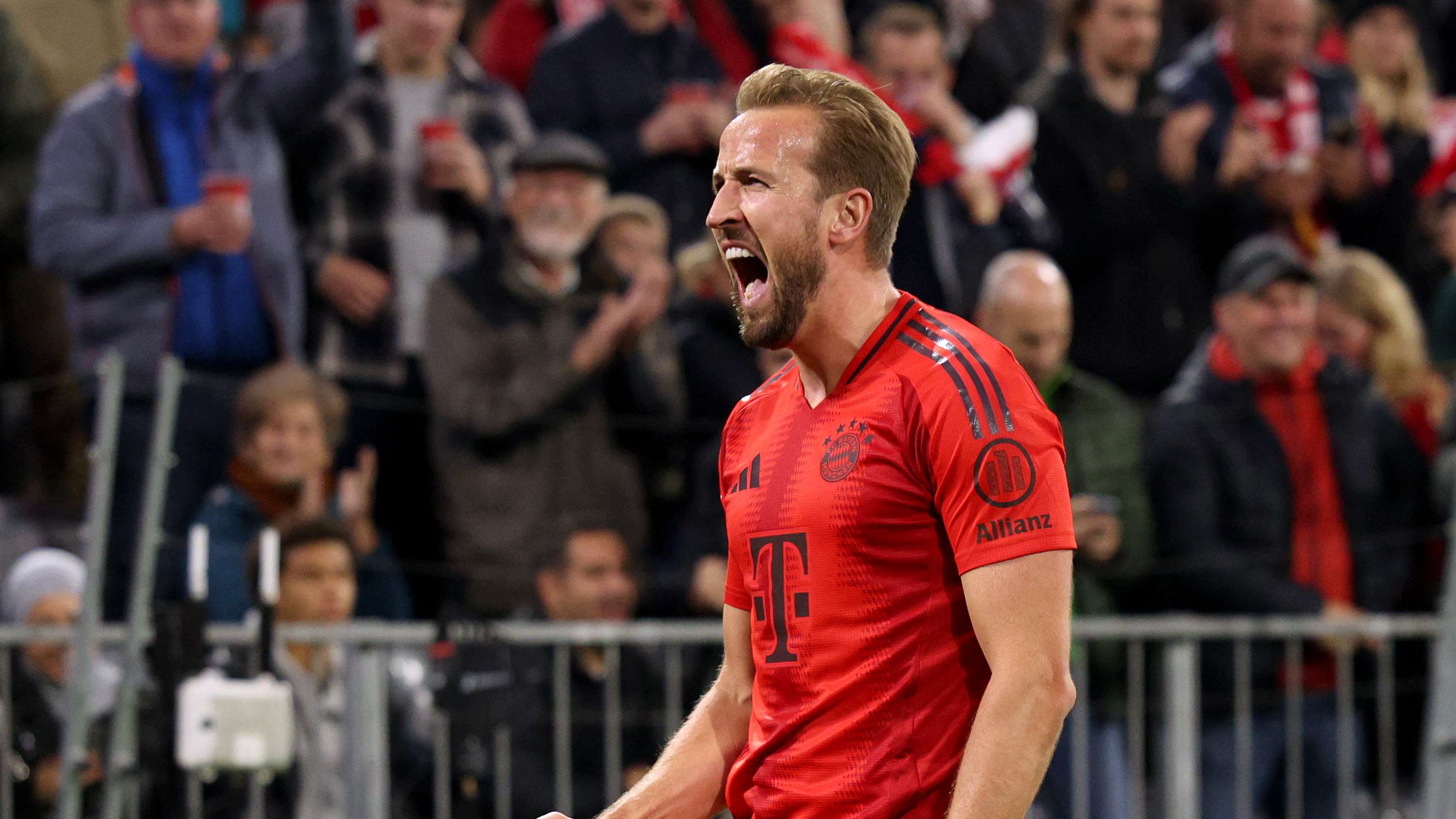 無疑為支持 無疑為支持